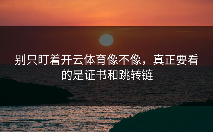别只盯着开云体育像不像，真正要看的是证书和跳转链