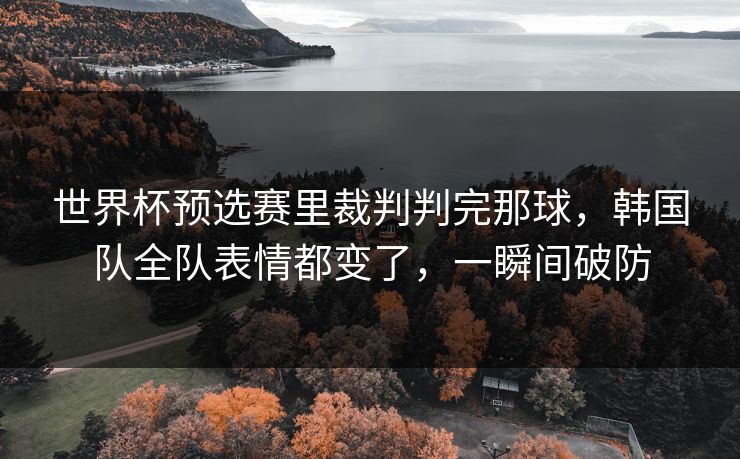 世界杯预选赛里裁判判完那球，韩国队全队表情都变了，一瞬间破防