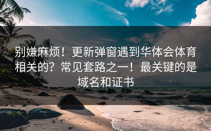 别嫌麻烦！更新弹窗遇到华体会体育相关的？常见套路之一！最关键的是域名和证书