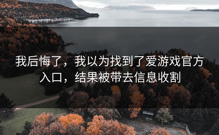 我后悔了，我以为找到了爱游戏官方入口，结果被带去信息收割