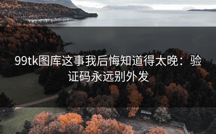 99tk图库这事我后悔知道得太晚：验证码永远别外发