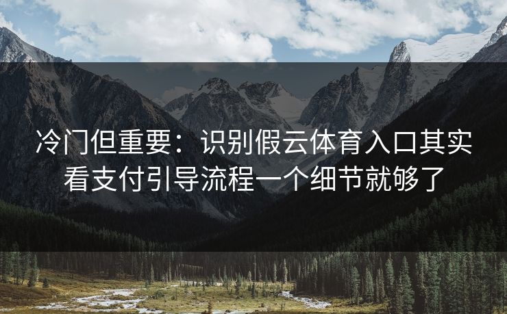 冷门但重要：识别假云体育入口其实看支付引导流程一个细节就够了