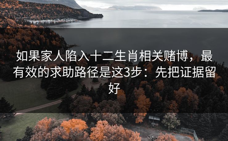如果家人陷入十二生肖相关赌博，最有效的求助路径是这3步：先把证据留好